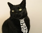 _鹈鹕务实应战，逐渐夺得胜机_，鹈鹕秒懂