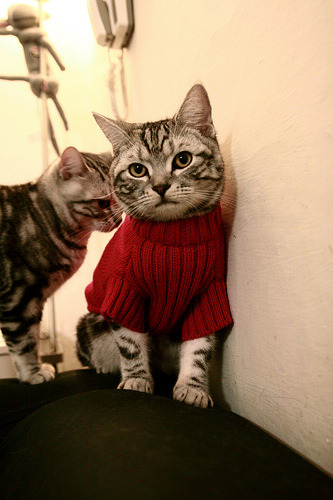 开云·体育官网APP下载-【精彩逆转】一场比赛中两次逆转引爆全场，体育比赛逆转