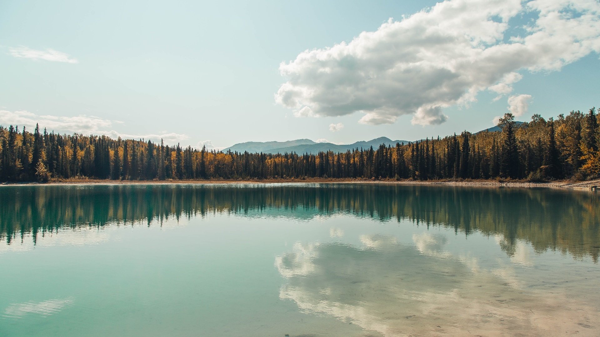 全国青少年足球“带头人”项目强化行业核心人才的打造，全国青少年足球示范学校