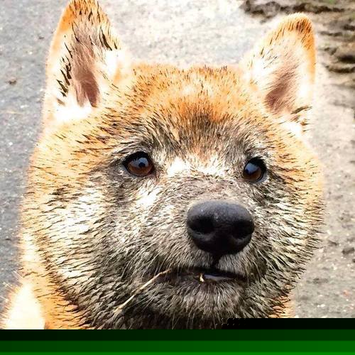 kaiyun 开云体育-女子网球公开赛中国选手表现突出，晋级八强，女子网球职业赛事