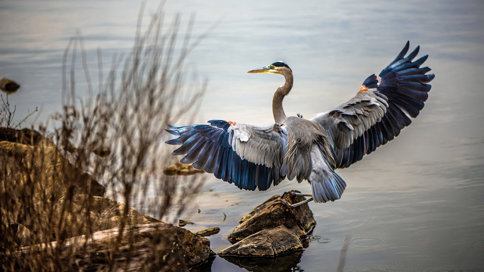 汉诺威士气高涨，连续获胜，汉诺威有限公司