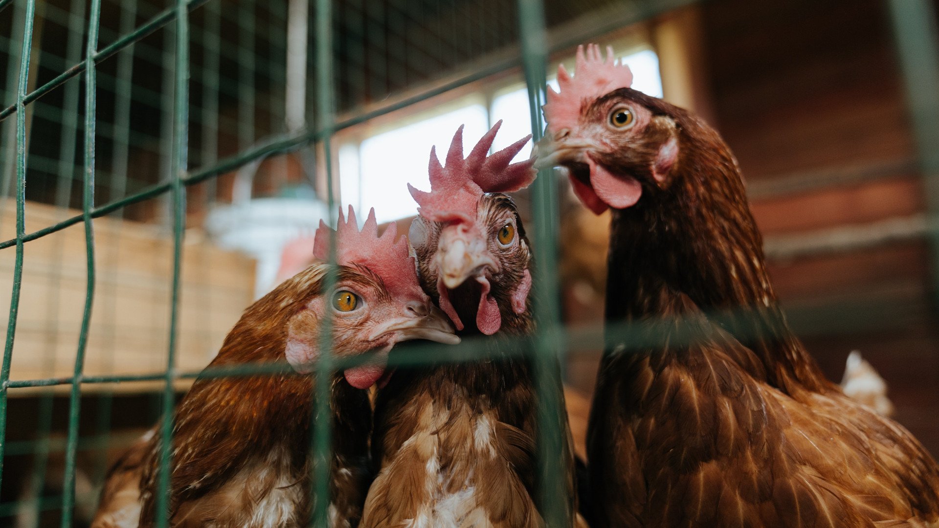 特色足球文化街区在多个城市落地,推动城市文化繁荣,足球文化馆