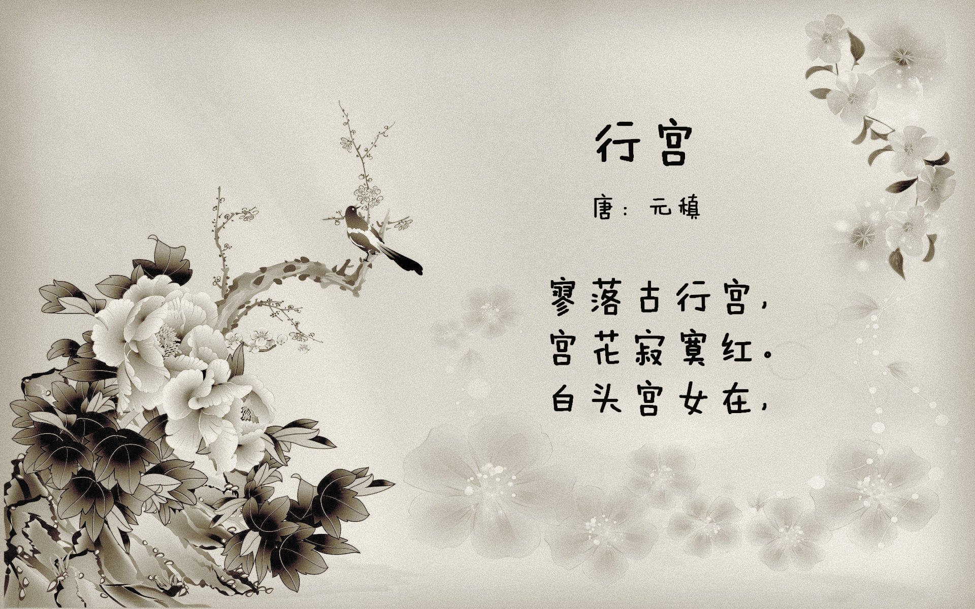 科比:冠军的血统,无私的精神永远激励年轻一代!,科比总冠军穿的什么鞋