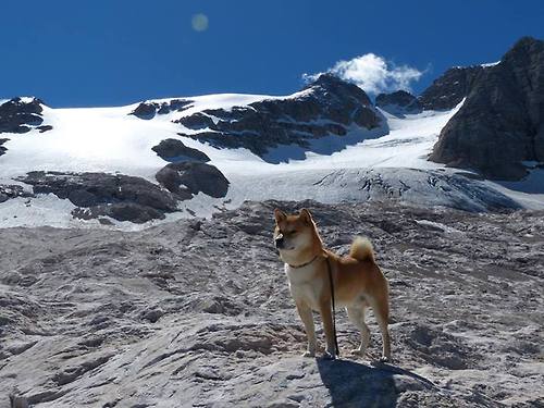 美国马术队在巴黎奥运会三项赛中获得第七名，表现稳健。，美国马术运动员