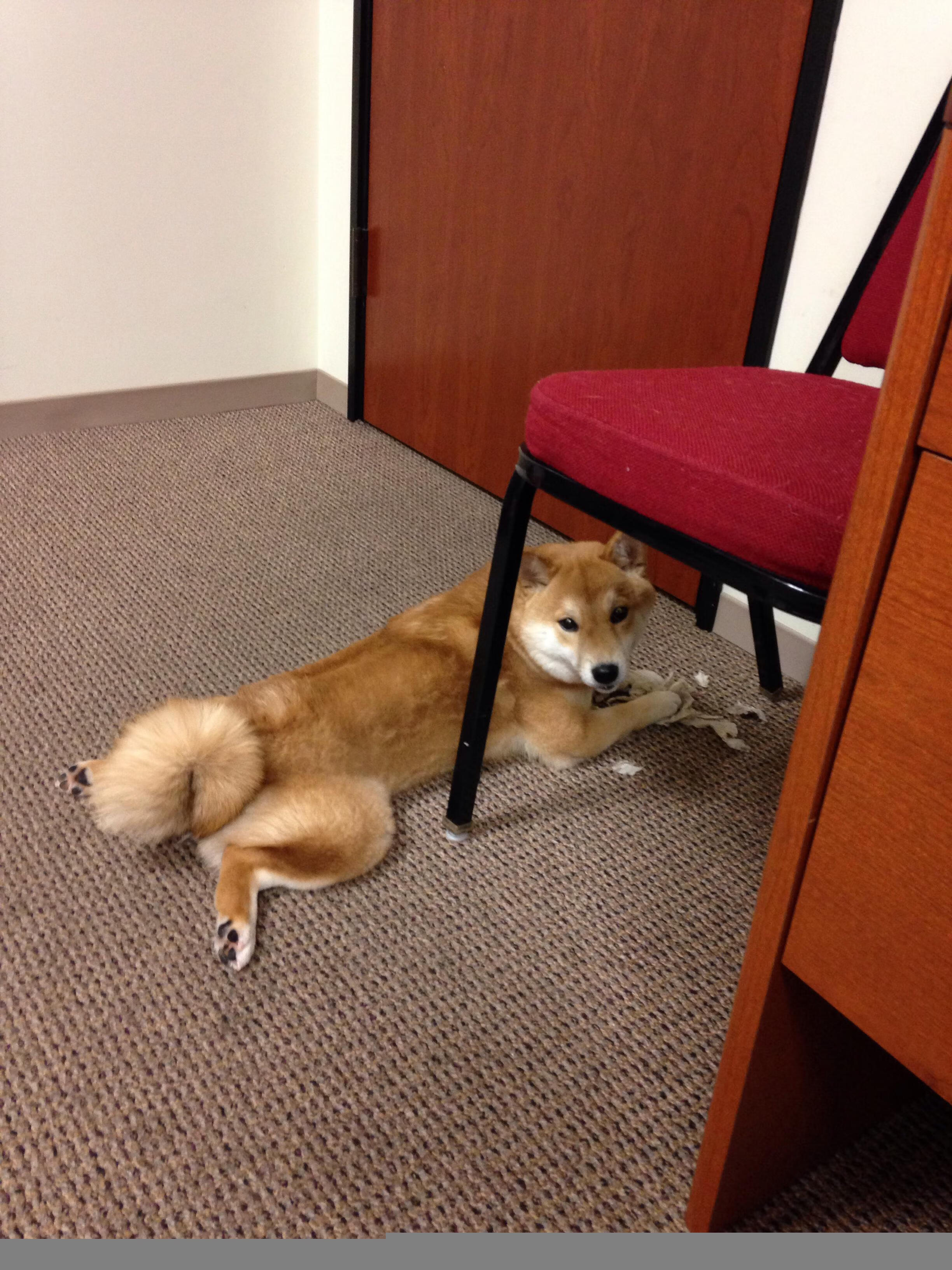 广场舞进社区活动在各地开展,广场舞进社区活动方案