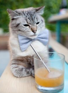 韩选手星际争霸世界赛夺冠，星际争霸韩国选手排名