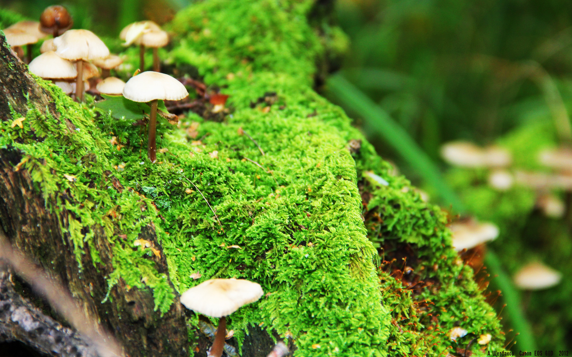 中国足球比赛节奏变化影响因素总结,足球节奏变化过人