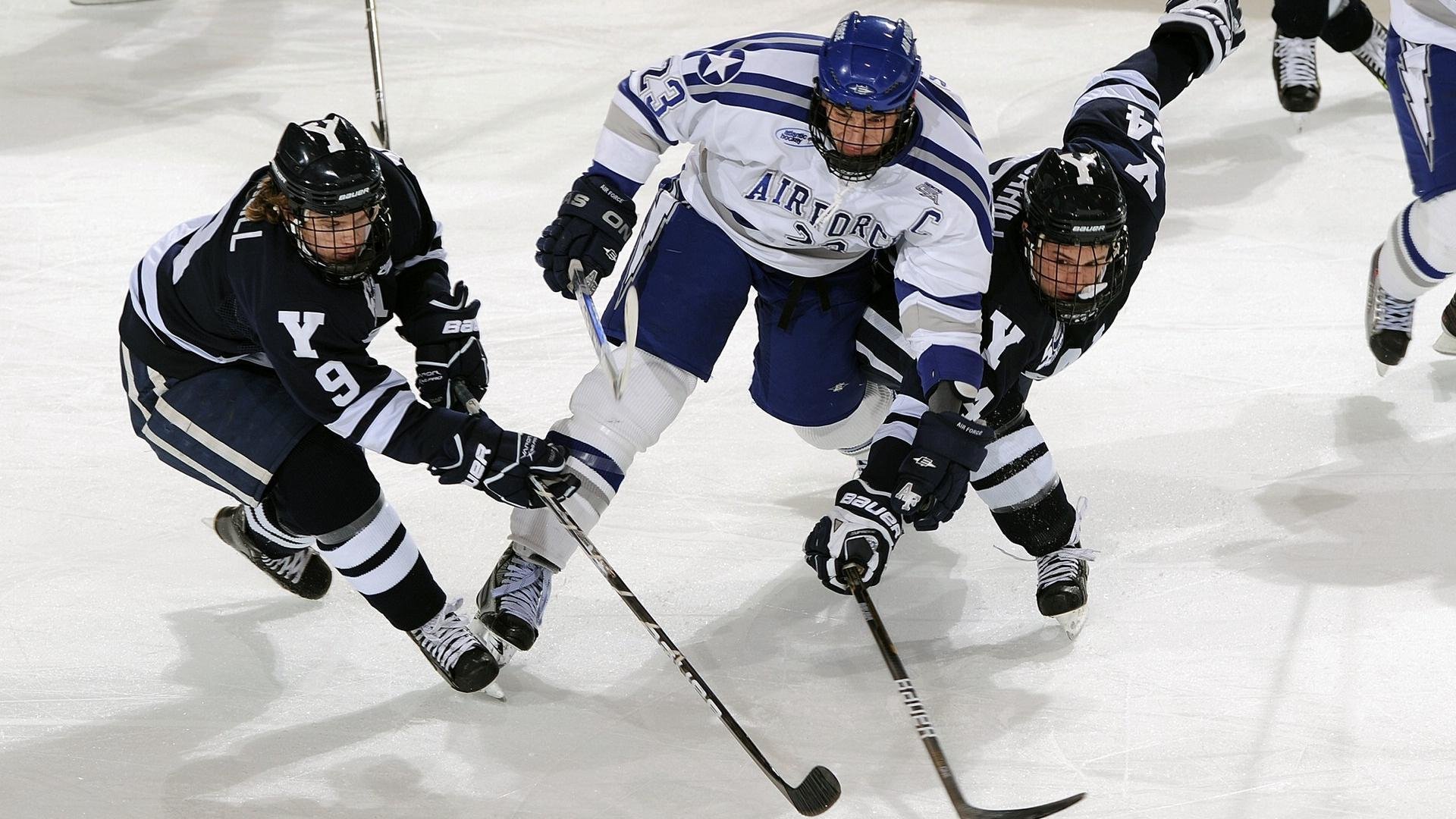 体育教育专业课程体系结构优化与能力匹配研究，体育教育专业的课程体系