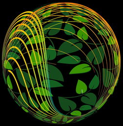 Kaiyun(中国)开云-未来青训：生态系统构建助推足球强国梦，足球生态系统建设