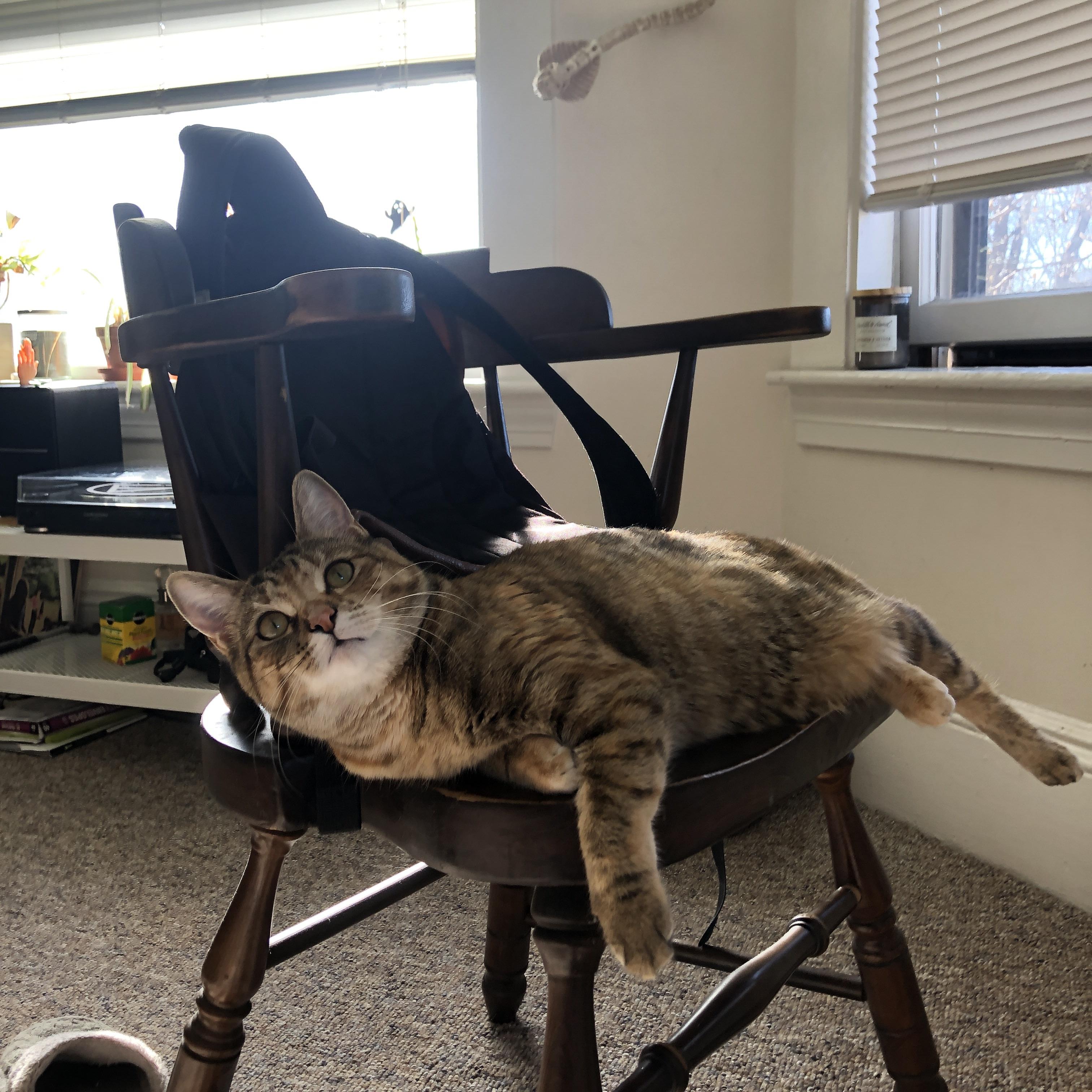 中国男篮专注提升体能 强化比赛持久力，中国男篮训练