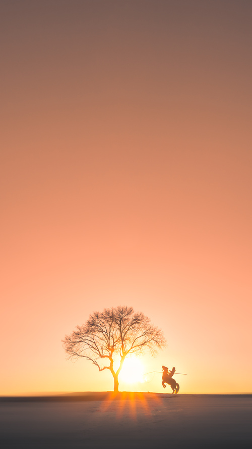 体育新闻中心推动构建国际体育内容交换机制，国际体育交流