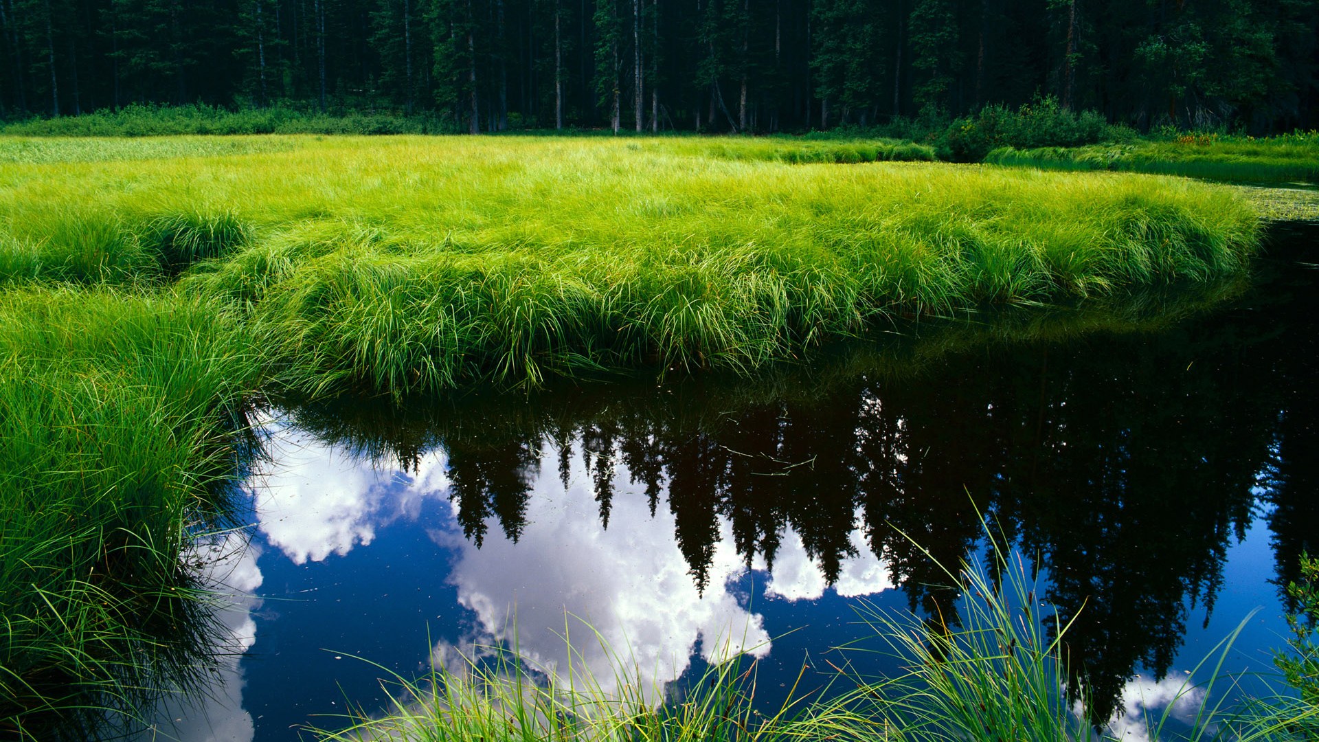 战术换位灵活度高的球队谁最出色，战术换弹是什么意思