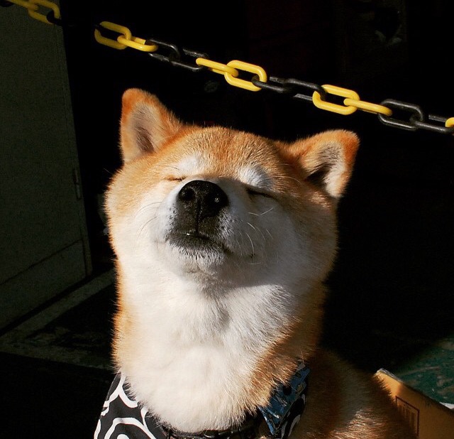 比赛节奏决定控球率还是控球时间，比赛节奏名词解释