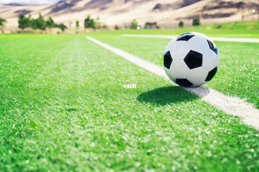 开云体育:中国足球联赛商业化运营的挑战与机遇：基于PEST分析的简单介绍